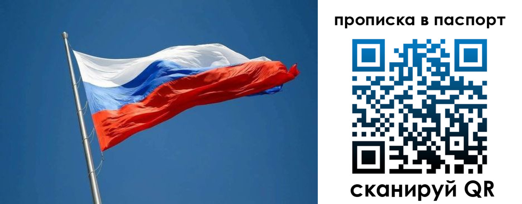 прописка паспорт в Ельне